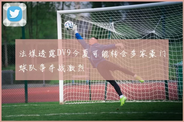 法媒透露DV9今夏可能转会多家豪门球队争夺战激烈