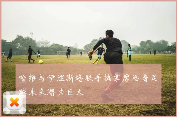 哈维与伊涅斯塔联手执掌摩洛哥足球未来潜力巨大